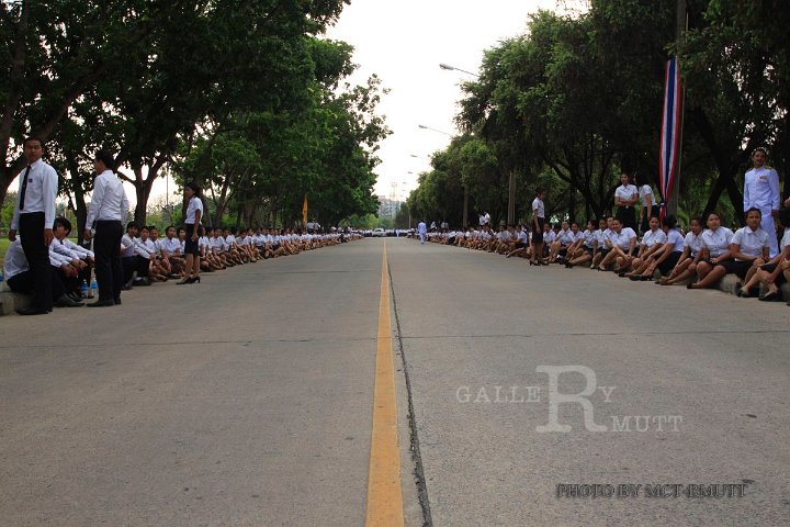 _MG_6081.jpg - rmutt