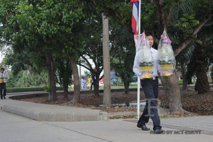 IMG_3750.jpg - rmutt