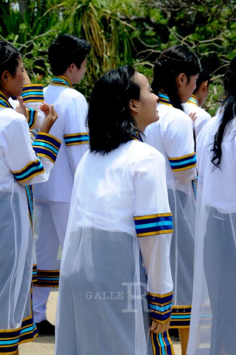 DSC_5436.jpg - rmutt