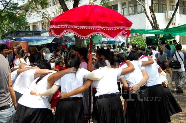 DSC_0049.jpg - rmutt