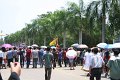 IMG_0549