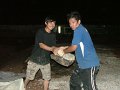 DSCF4713