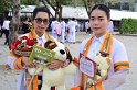 20171119-MCT04-AM-051