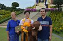 20171120-ARIT05-PM-027
