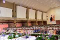 ORN_6815