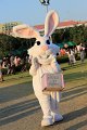 IMG_5685
