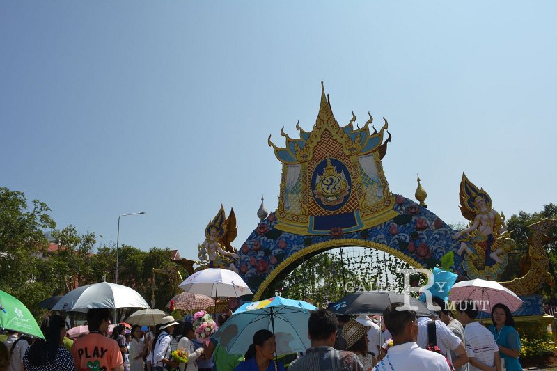 DSC_0089.JPG
