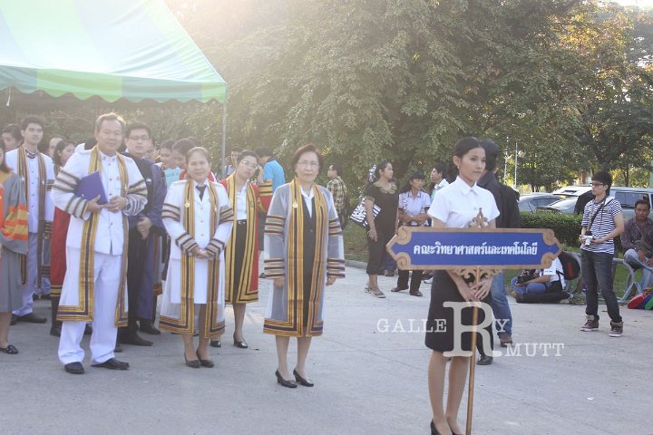 stj_09.jpg