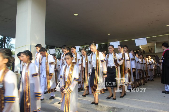stj_55.jpg