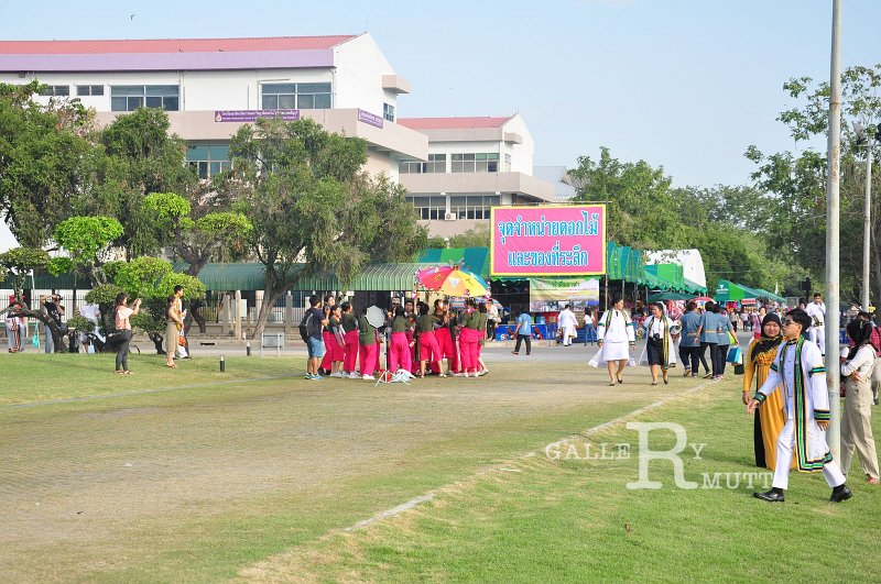 DSC_0248.JPG