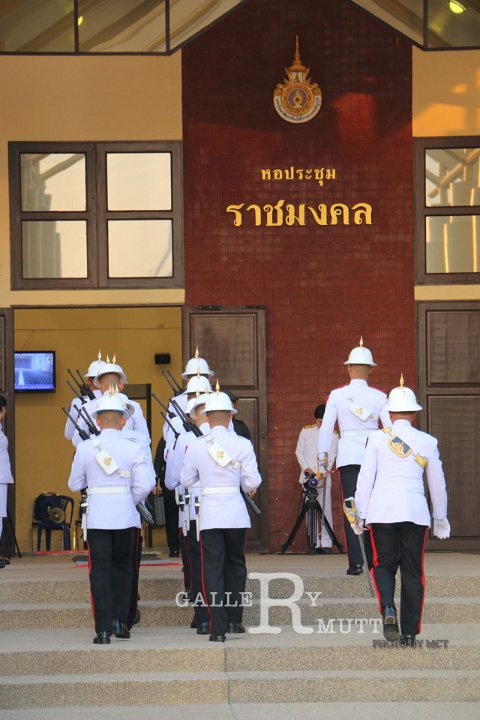 IMG_7517.jpg