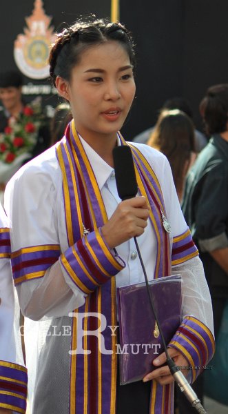DSC_0329c.jpg