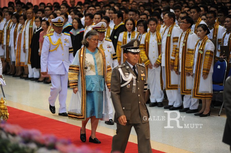 20141217-Princess-ARIT-AM-051.jpg