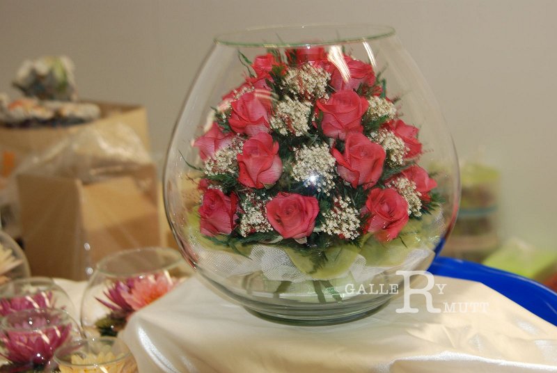 DSC_4737.JPG - ARIT(PRODUCTION)