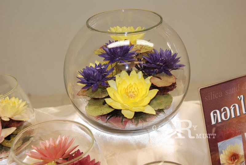 DSC_4905.JPG - ARIT(PRODUCTION)