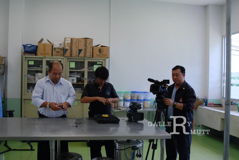 DSC_5023.JPG - ARIT(PRODUCTION)