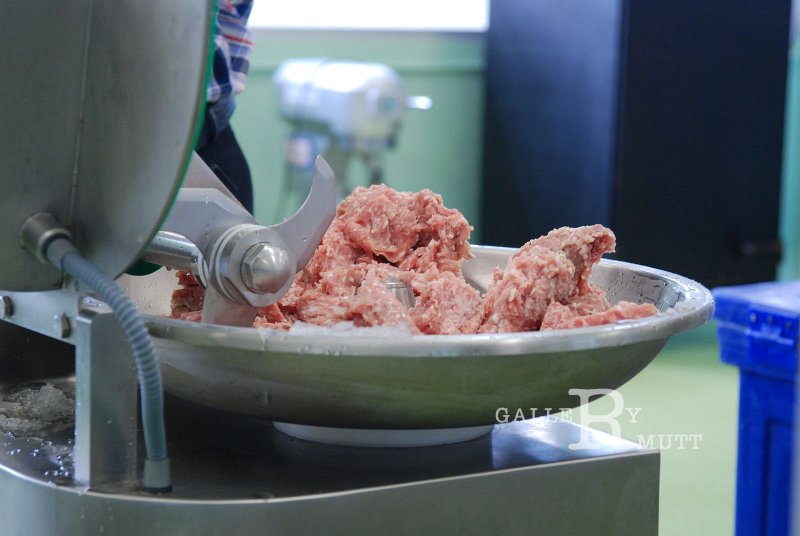 DSC_5097.JPG - ARIT(PRODUCTION)