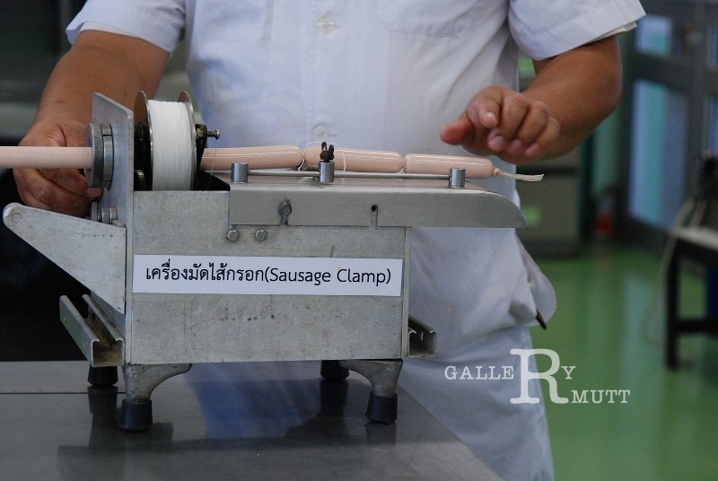 DSC_5197.JPG - ARIT(PRODUCTION)