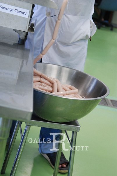 DSC_5208.JPG - ARIT(PRODUCTION)