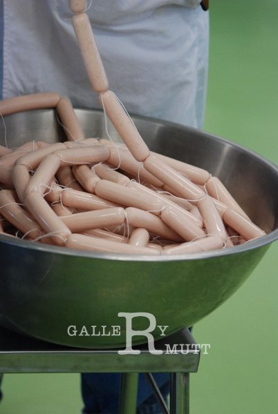 DSC_5214.JPG - ARIT(PRODUCTION)