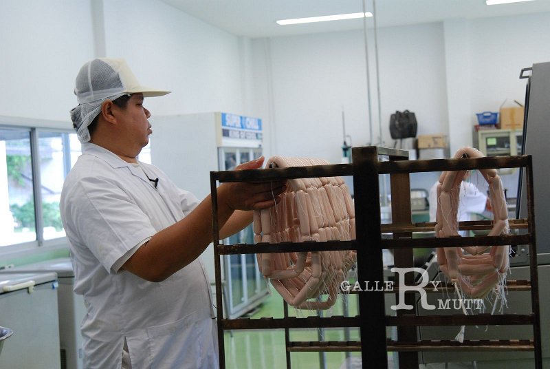 DSC_5244.JPG - ARIT(PRODUCTION)