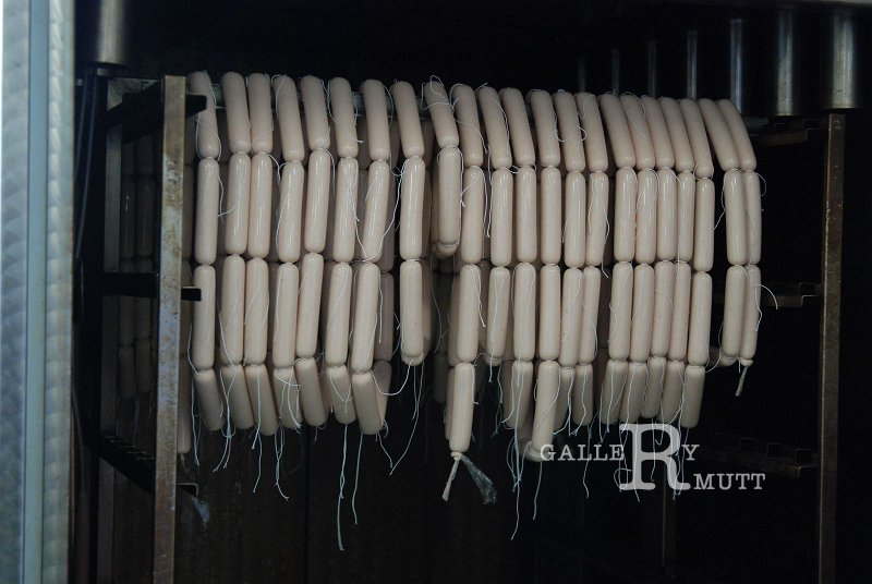 DSC_5245.JPG - ARIT(PRODUCTION)