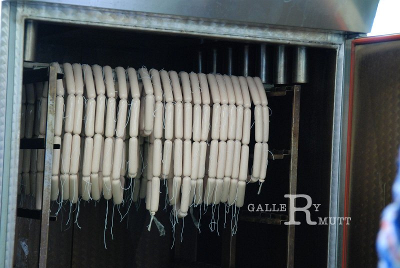 DSC_5248.JPG - ARIT(PRODUCTION)