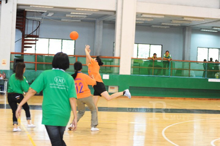 DSC_9519.JPG