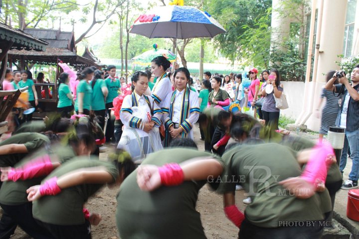 IMG_9565.jpg