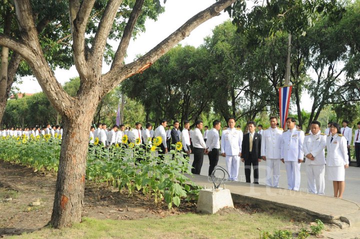 DSC_4772.JPG