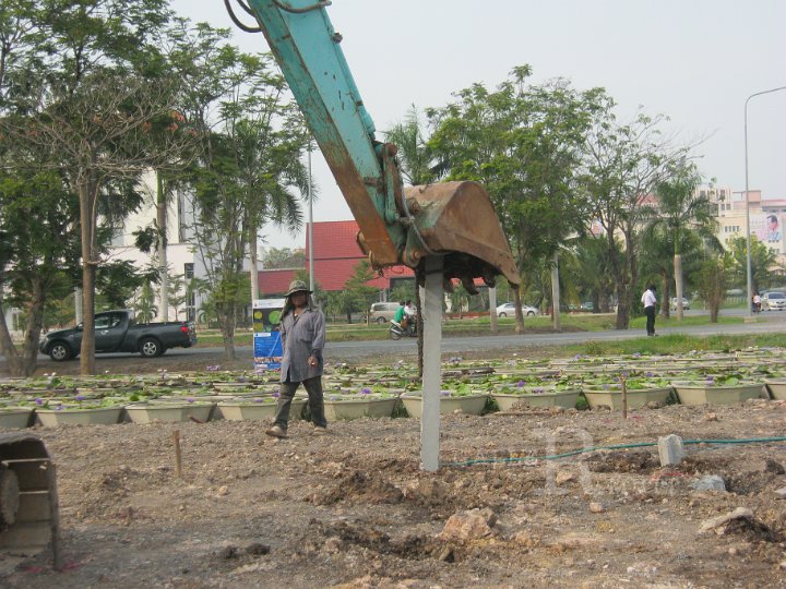 IMG_0054.JPG - ก่อสร้างอาคารในพิพิธภัณฑ์บัว