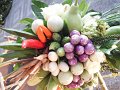 SAM_0061