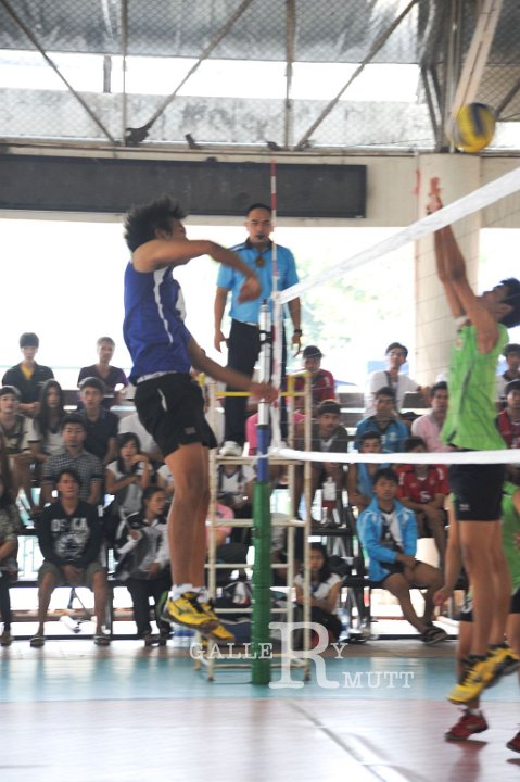 25560202-DSC_3637.jpg