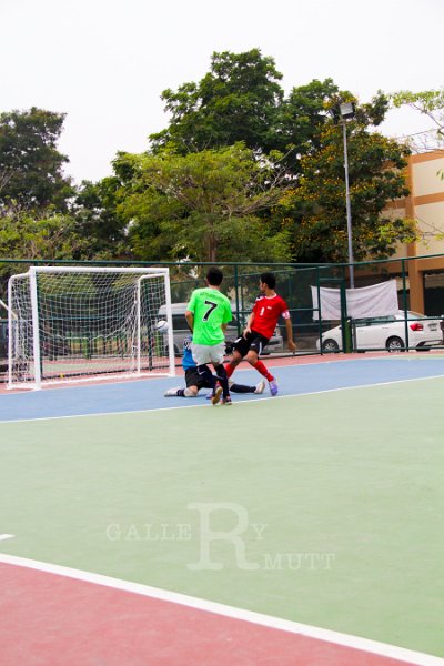 IMG_6607.jpg