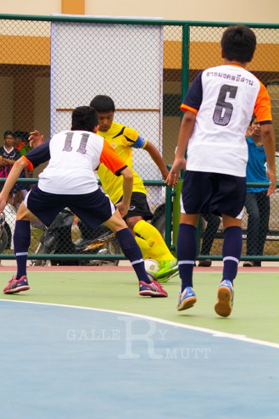 IMG_6647.jpg