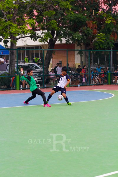IMG_6656.jpg