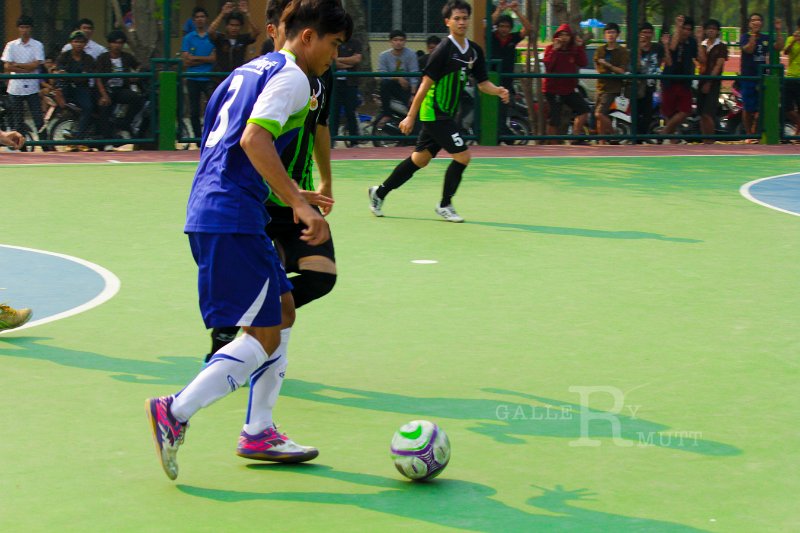 IMG_6682.jpg