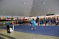 IMG_6593