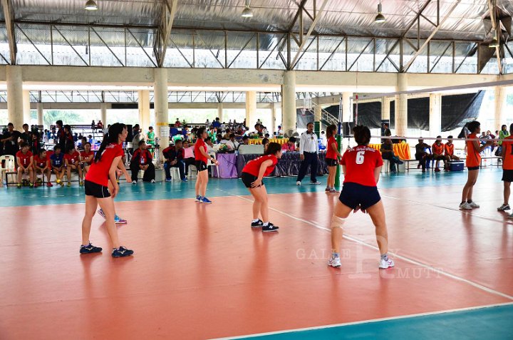 Q00_2333.JPG