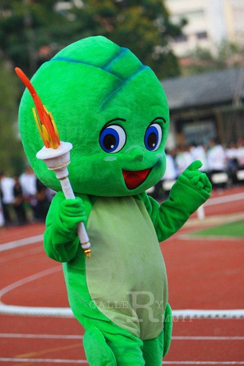 IMG_5208.JPG