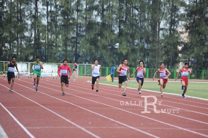25560207-DSC_4910.jpg