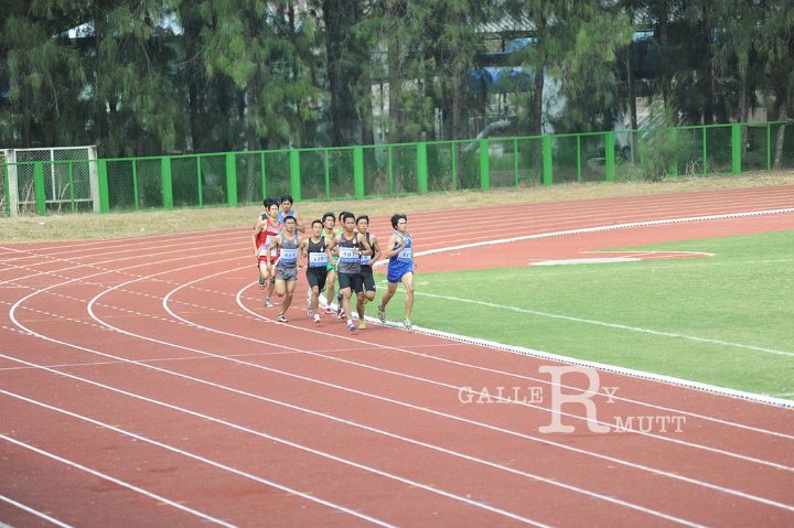 25560207-DSC_4966.jpg