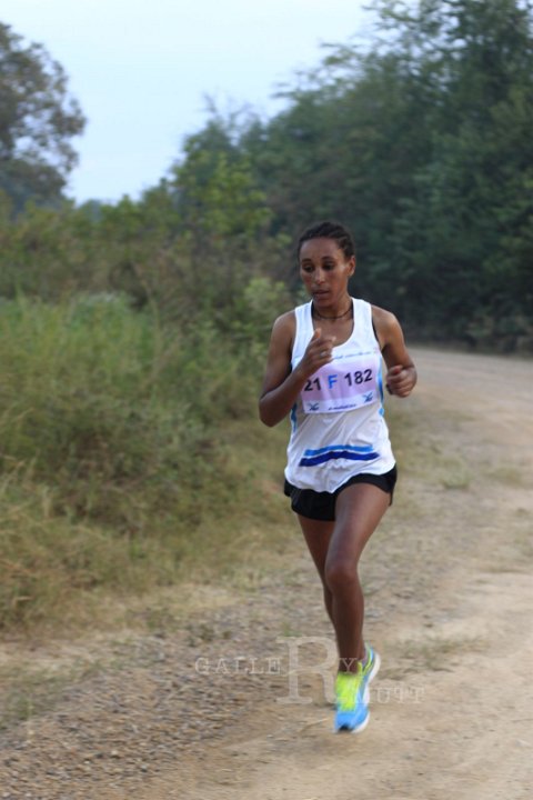 _MG_0380.JPG