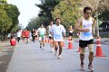 _MG_0586