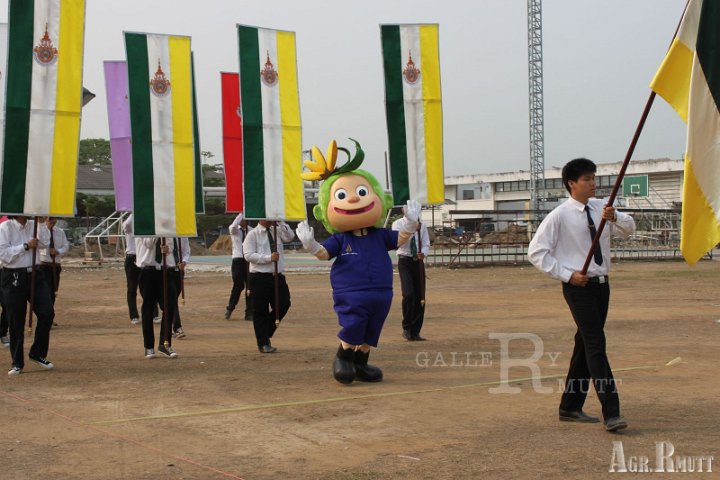 7.jpg - AGR
