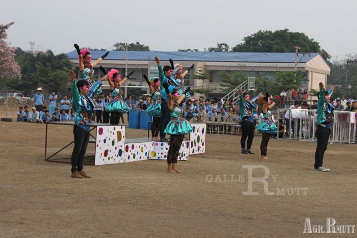 IMG_7654.jpg - AGR