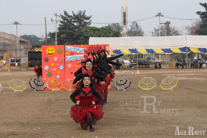 IMG_7717.jpg - AGR