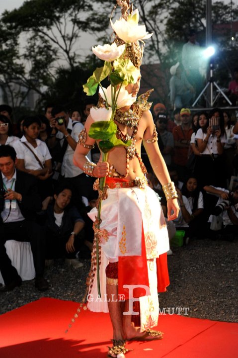 25560118-DSC_2591.jpg
