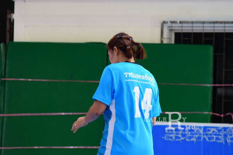 DSC_0813.JPG