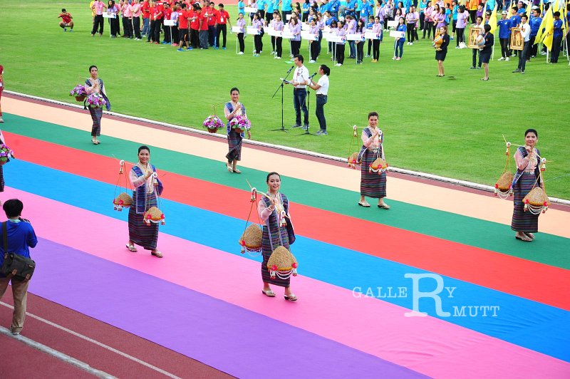 20160604-PR33-260.JPG